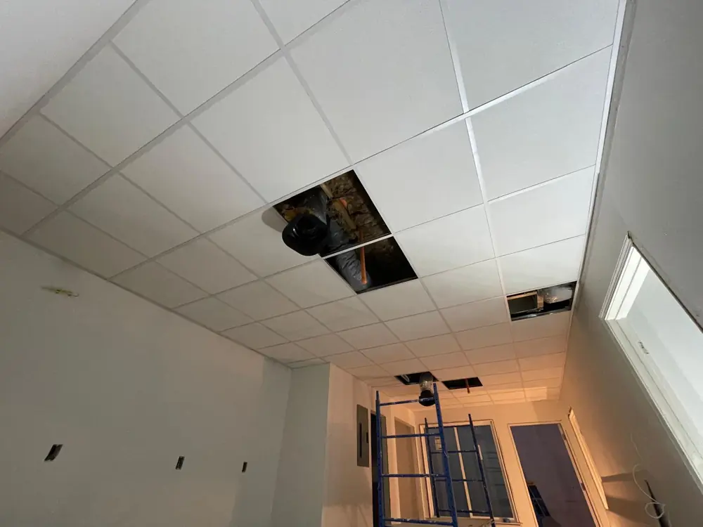 Drop ceiling installed with lighting cutouts